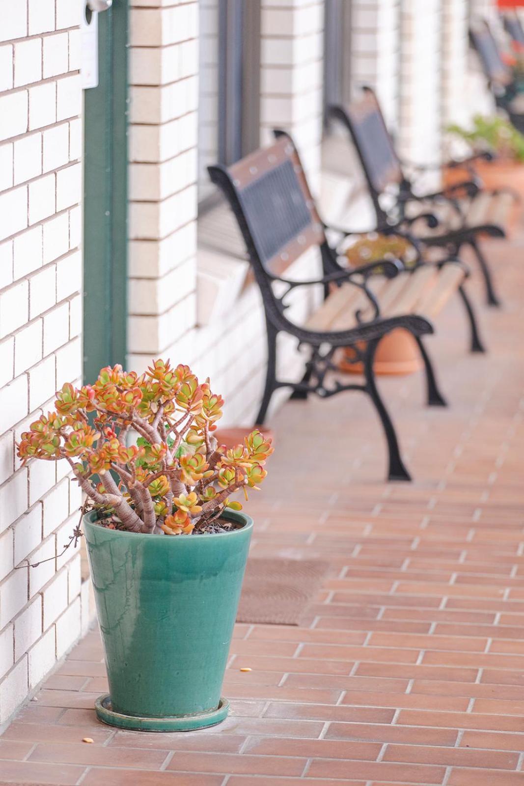Alluna Hotel Armidale